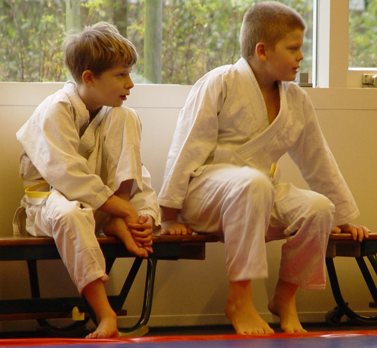 Hoeveel slips passen er aan een judoband